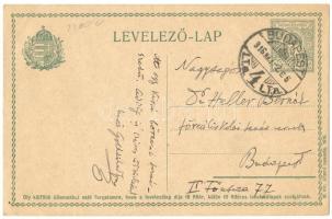 1934 Goldziher Ignác orientalista saját kézzel írt levelezőlapja Heller Bernátnak