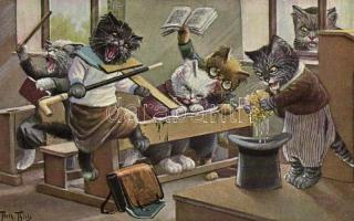 Cat school s: Arthur Thiele