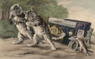 Cats, automobile s: N. Parker