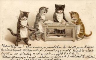 1899 Cats, kitchen litho