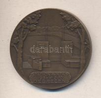 1934. "Stadionavatás 1934. VI. 2-10. Debrecen" Br emlékérem (57mm) T:2