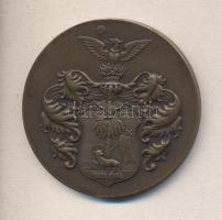 1934. "Stadionavatás 1934. VI. 2-10. Debrecen" Br emlékérem (57mm) T:2