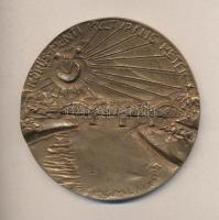 Mladonyiczky Béla (1936-1995) 1969. "Körös-Menti Kulturália Hetek" Br kör alakú plakett (92mm) T:2