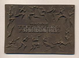 1925. "Magyar Testnevelési Főiskola 1925" Br égyszögletes plakett (72x105mm) T:2