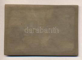 1925. "Magyar Testnevelési Főiskola 1925" Br égyszögletes plakett (72x105mm) T:2