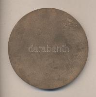 1985. "A HNF VIII. Kongresszusa Budapest" Br nagyalakú plakett (103mm) szignó: EM T:2