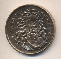 Borsos Miklós (1906-1990) 1981. "Sárospataki iskola - II. Rákóczi Ferenc 1531-1981" Br emlékérem (45mm) T:2