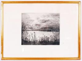 Ifj. Iván Szilárd (1955): Balaton. Rézkarc, papír, jelzett, üvegezett keretben, 44x61cm
