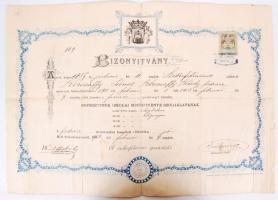 1903 Fodrász bizonyítvány, okmánybélyeggel 50×35 cm