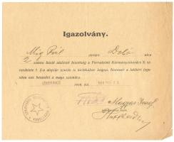 1919 Lefoglalási igazolvány