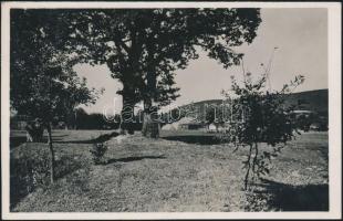 Zágon Mikes Kelemen tölgyfái / Zágon the oak trees of Kelemen Mikes