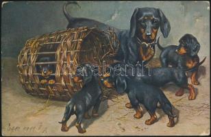 Dachshunds (EK)