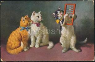 Cats with abacus
