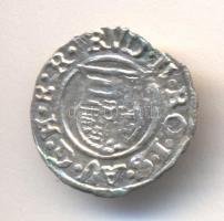1590K-B Denár Ag "Rudolf" (0,46g) T:2/2- ki
Huszár 1059., Unger II 811.a