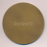 1967. Csepel Vas- és Fémművek 75 éves jubileum Br emlékplakett (60cm) T:1