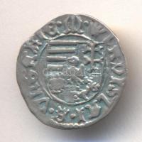 1498-1503. Denár Ag "II. Ulászló" (0,73g) T:2,2-
Huszár 807.,Unger I.: 640.a