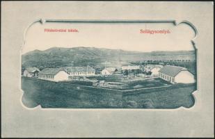 Szilágysomlyó agricultural school