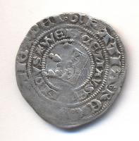 Bohémia / Kutná Hora  1278-1305. Garas Ag "II. Vencel" T:3
Bohemia / Kutná Hora 1278-1305....