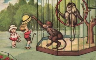 Zoo, monkeys s: Margret Boriss