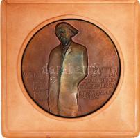 Csíkszentmihályi Róbert(1940-): Kodály Zoltán emlék plakett, bronz, jelzett, díszdobozban, d:10 cm