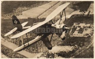 Arado Ar 95, german biplane (cut)
