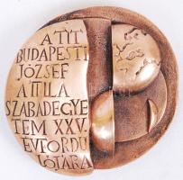 Olvashatatlan jelzéssel: TIT 1954-1979. Bronz plakett, d:9 cm