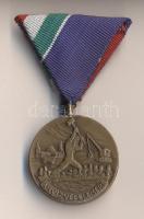 1954. "Árvízvédelemért Érem" patinázott Br kitüntetés, szalaggal dísztokban T:1