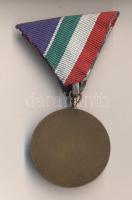 1954. "Árvízvédelemért Érem" patinázott Br kitüntetés, szalaggal dísztokban T:1