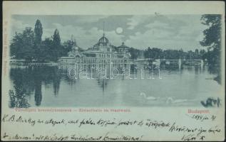 1899 Budapest XIV. Városliget korcsolyacsarnok, Divald (cut)