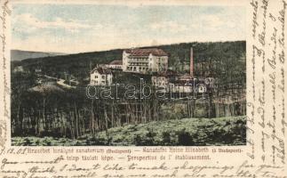 Budapest XII. Erzsébet királyné szanatórium (EK)