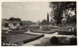 Félixfürdő park (EK)