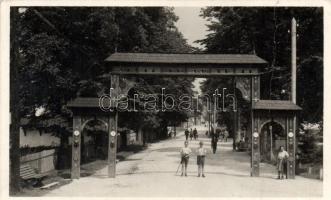 Borszék spa entrance, székelykapu (fa)