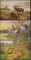 9 db régi vadász képeslap, pinx. M. Müller, Ludwig Fromme, Deltier, Fr. Rösler, Fritz Müller, Rundeck