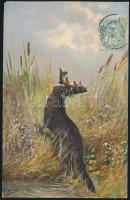 9 db régi vadász képeslap, pinx. M. Müller, Ludwig Fromme, Deltier, Fr. Rösler, Fritz Müller, Rundec...