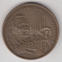 Peternák Gusztáv (1928-) 1982. "MÉE Budapest / Bartók Béla - Kodály Zoltán" Br emlékérem (...