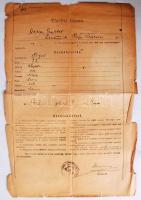 1892 Türelmi bárca kéjnő részére a fontosabb szabályokkal, hátoldalán orvosi szemlelappal