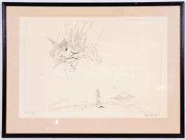 Herpai Zoltán (1951-2011): Ikarusz. Tus, papír, jelzett, üvegezett keretben 47×64 cm