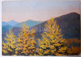 Mátrai Vilmos (1877-?): Hegygerinc. Vegyes technika, papír-karton, jelzett, 23×32 cm