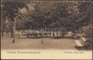 Hódmezővásárhely Erzsébet sétány (EK)