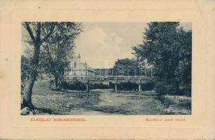 Borossebes synagogue (Rb)