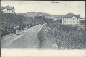 Badacsony, Wágner a Hangszerkirály hirdetésével a hátoldalon