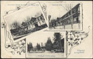 Előpatak Villa Miklós Damokos, Villa Mana Goldstein, Villa Rheindt, main fountain and Födött promenade (EK)