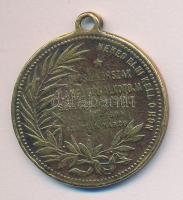 1894. Emlékérem Kossuth Lajos halálának emlékére, Br emlékmedál (33mm), a hátlapi szövegben hiba! &q...