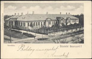 Szarvas városháza (kis szakadás / small tear)