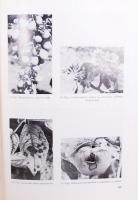 Katona József: Kertészek új kézikönyve. Bp 1972. Mezőgazdasági Kiadó