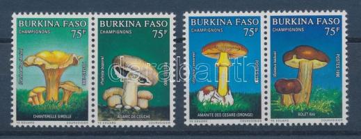 Fungi stamps of block, Gombák blokkból származó bélyegek