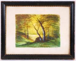 Sebestyén jelzéssel: Erdő. Vegyes technika, üvegezett keretben, 28,5x36,5cm