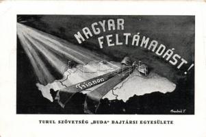 Hungarian irredenta, Trianon s: Butsik T. So. Stpl (fa)