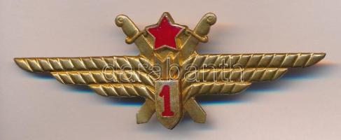 1975. zománcozott 1. osztályos megfigyelő jelvény, felcsavarozható is T:2
1975. First class navigato...