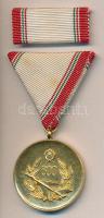 1965. "Szolgálati Érdemérem 800 repült óra után" szalaggal és szalagsávval dísztokban T:2